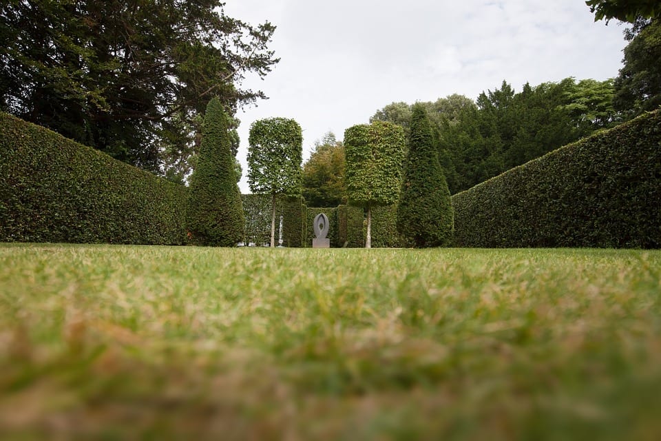 floor angle shot of garden