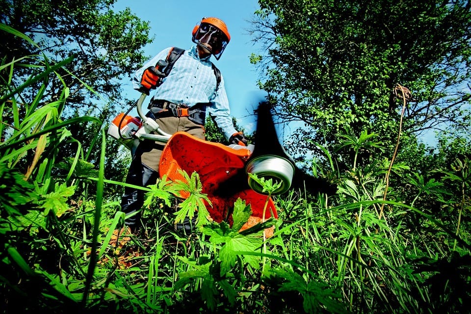 man trimming grass