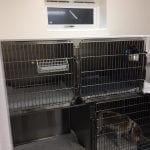 dog in cage at vets
