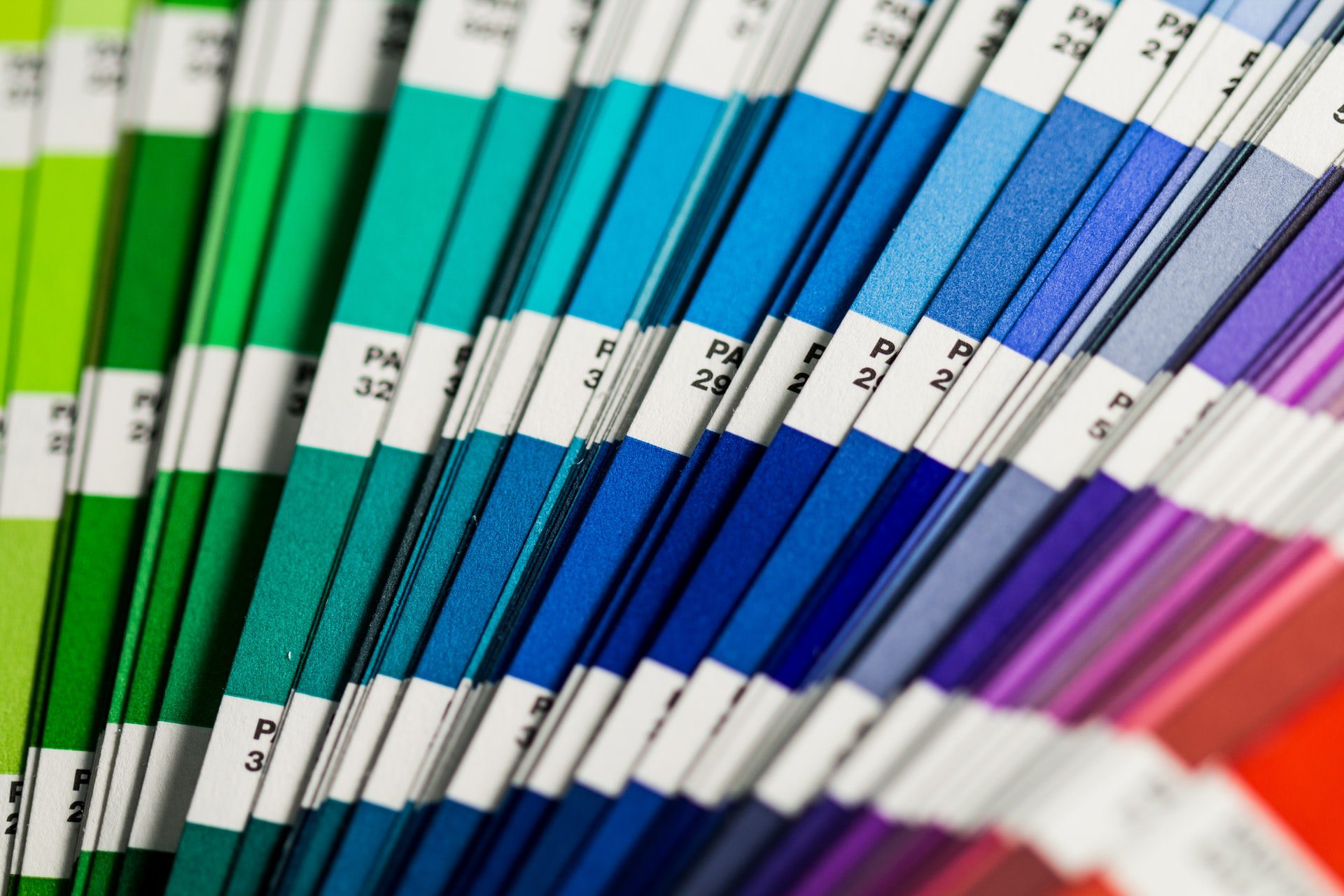 colour paint swatches