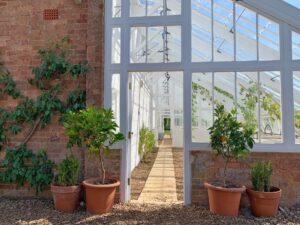 kitchen garden